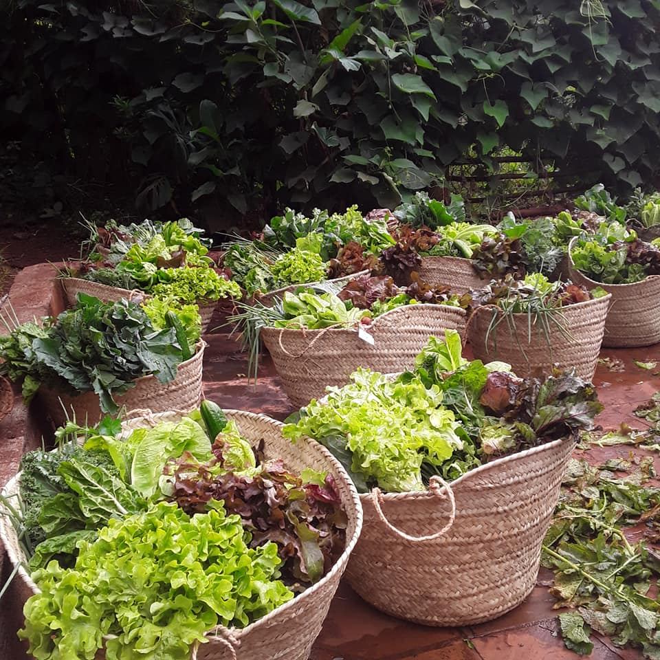 Mlango Farm